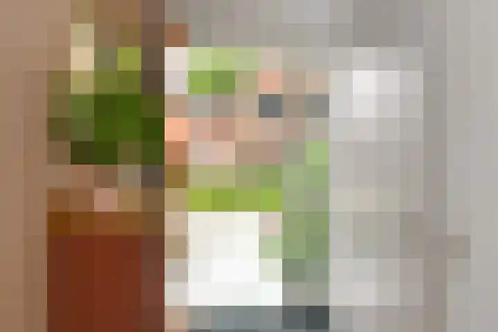 Aureus 26 Elst thumbnail 16