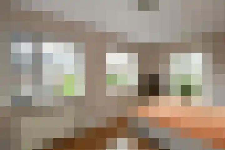Aureus 26 Elst thumbnail 18