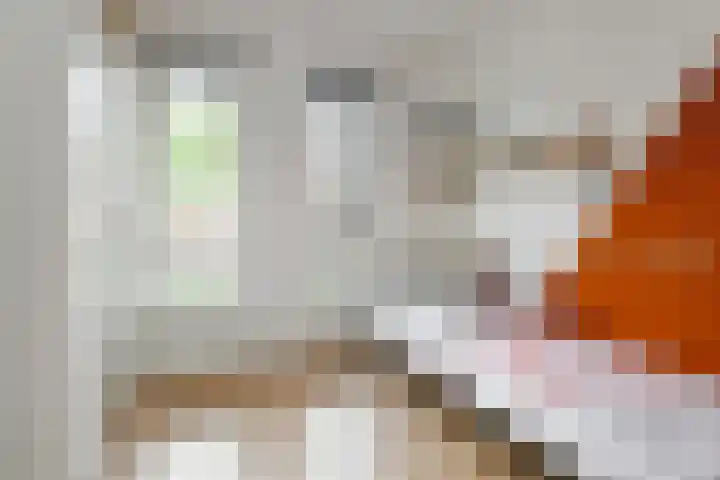 Aureus 26 Elst thumbnail 22
