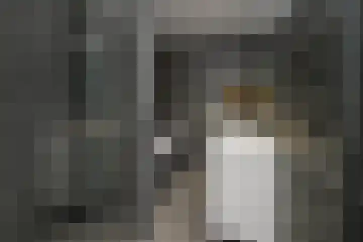 Aureus 26 Elst thumbnail 23