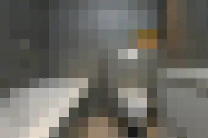 Aureus 26 Elst thumbnail 24