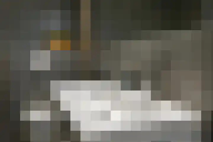 Aureus 26 Elst thumbnail 26