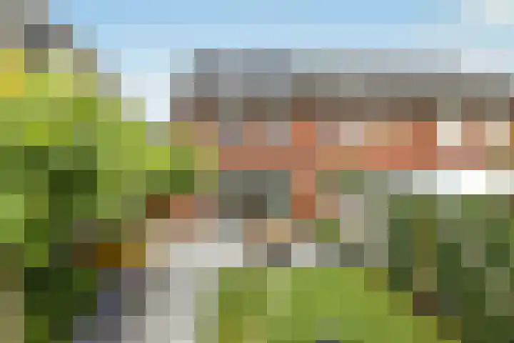 Aureus 26 Elst thumbnail 35