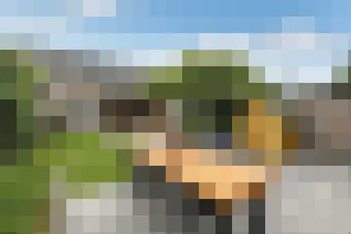 Aureus 26 Elst thumbnail 36