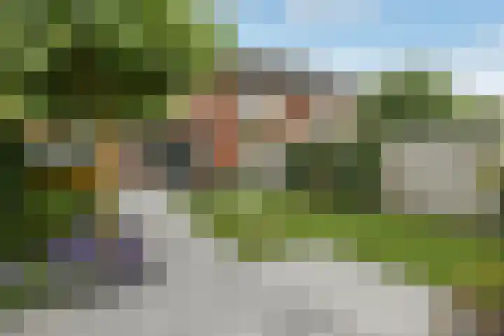 Aureus 26 Elst thumbnail 42
