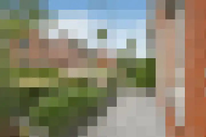 Aureus 26 Elst thumbnail 44