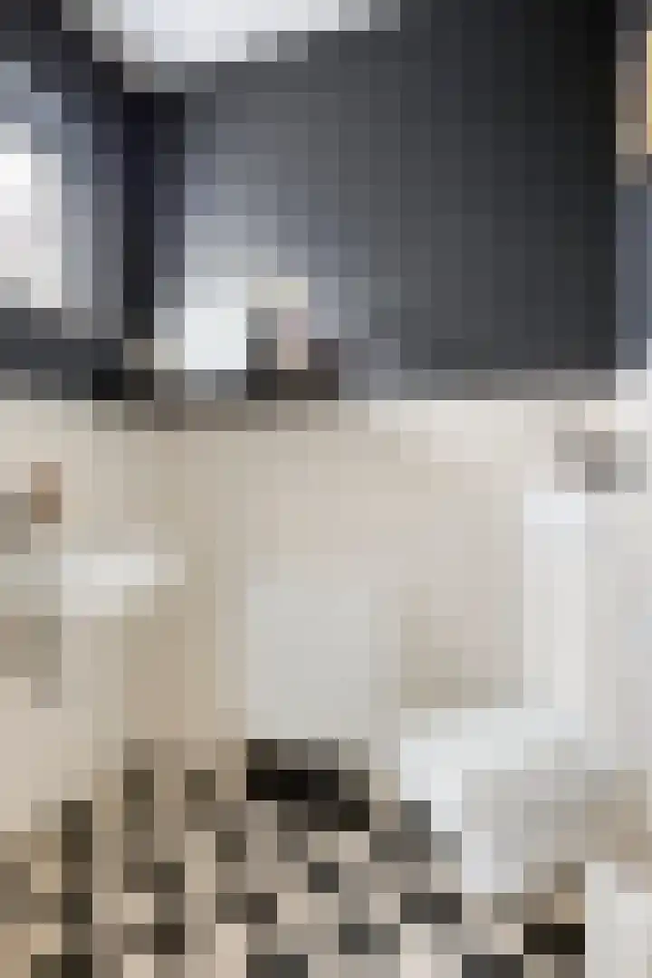 Aureus 42 Elst thumbnail 11
