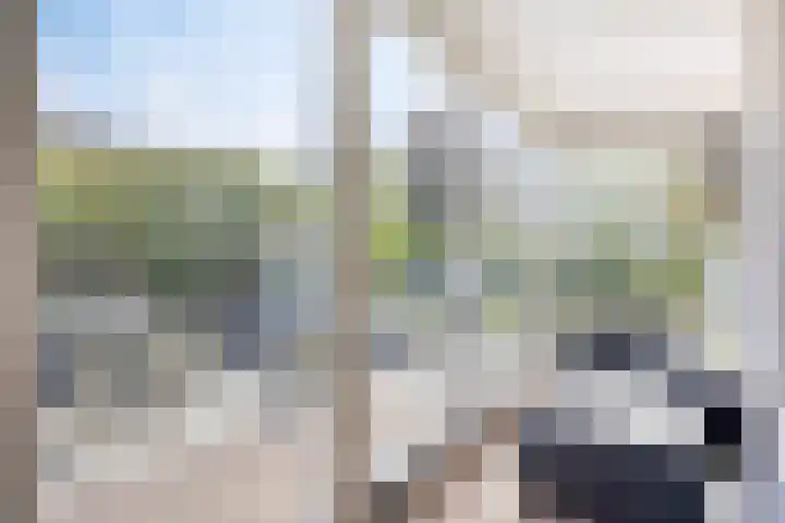 Aureus 42 Elst thumbnail 17