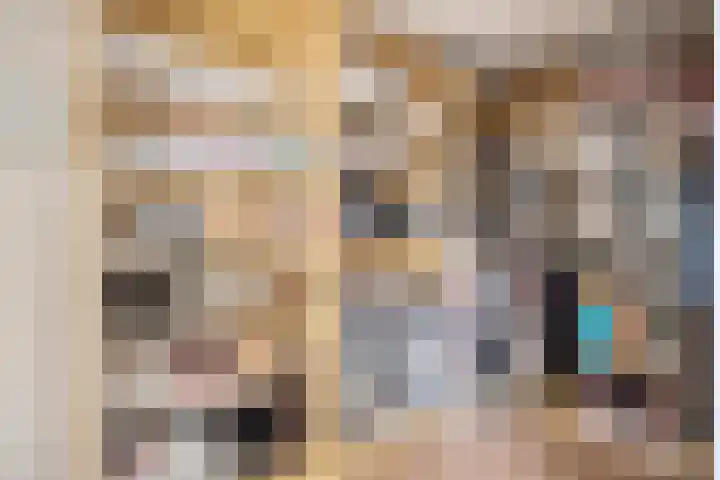 Aureus 42 Elst thumbnail 29