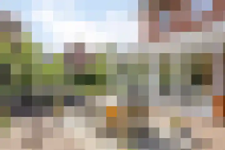 Aureus 42 Elst thumbnail 4