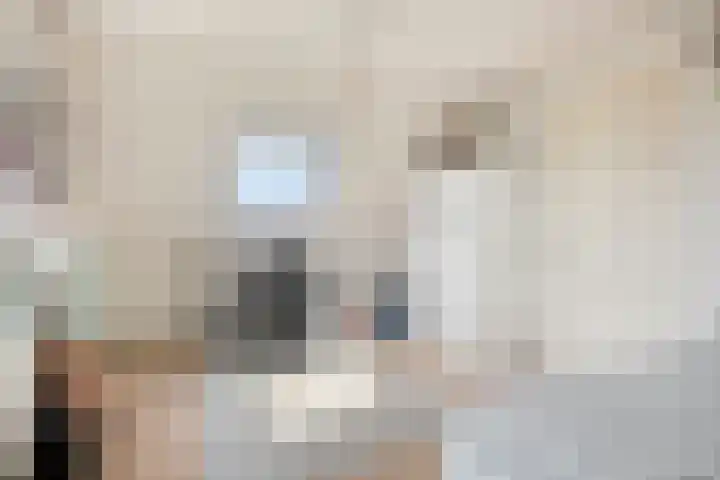Aureus 42 Elst thumbnail 43