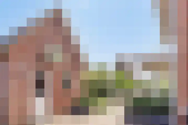 Aureus 42 Elst thumbnail 51