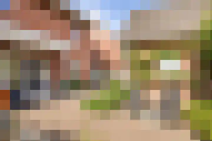 Aureus 42 Elst thumbnail 53