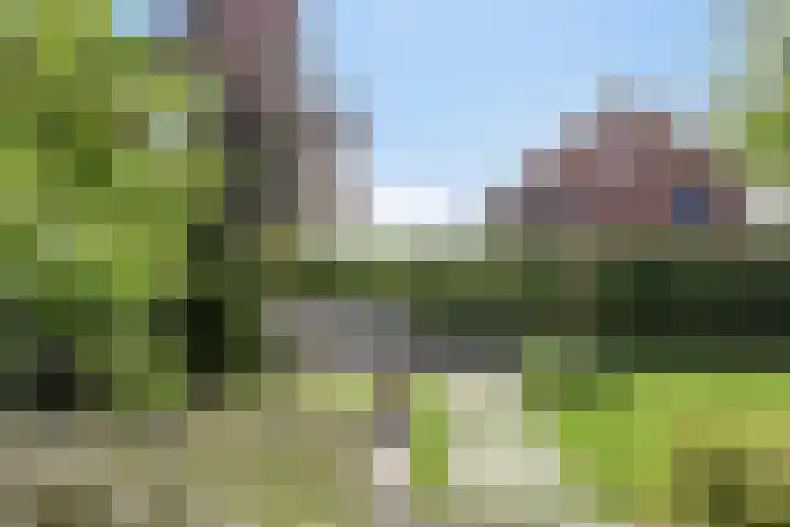 Aureus 42 Elst thumbnail 54