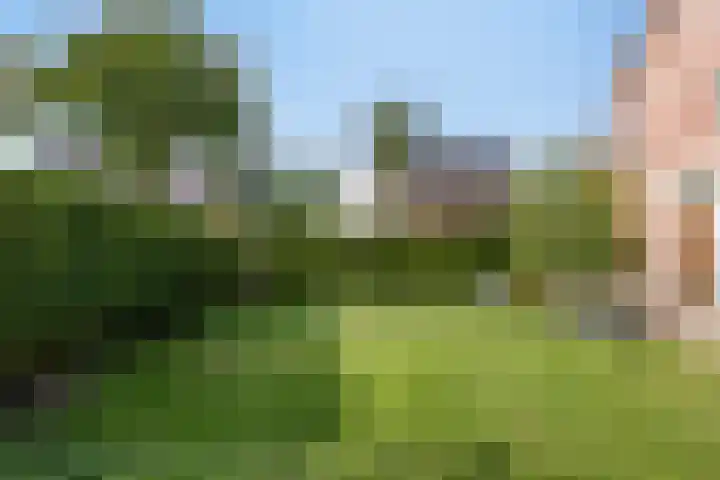 Aureus 42 Elst thumbnail 55