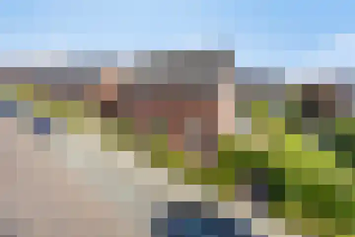 Aureus 42 Elst thumbnail 59