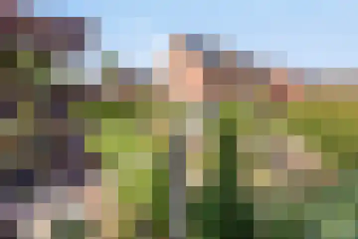 Aureus 42 Elst thumbnail 61