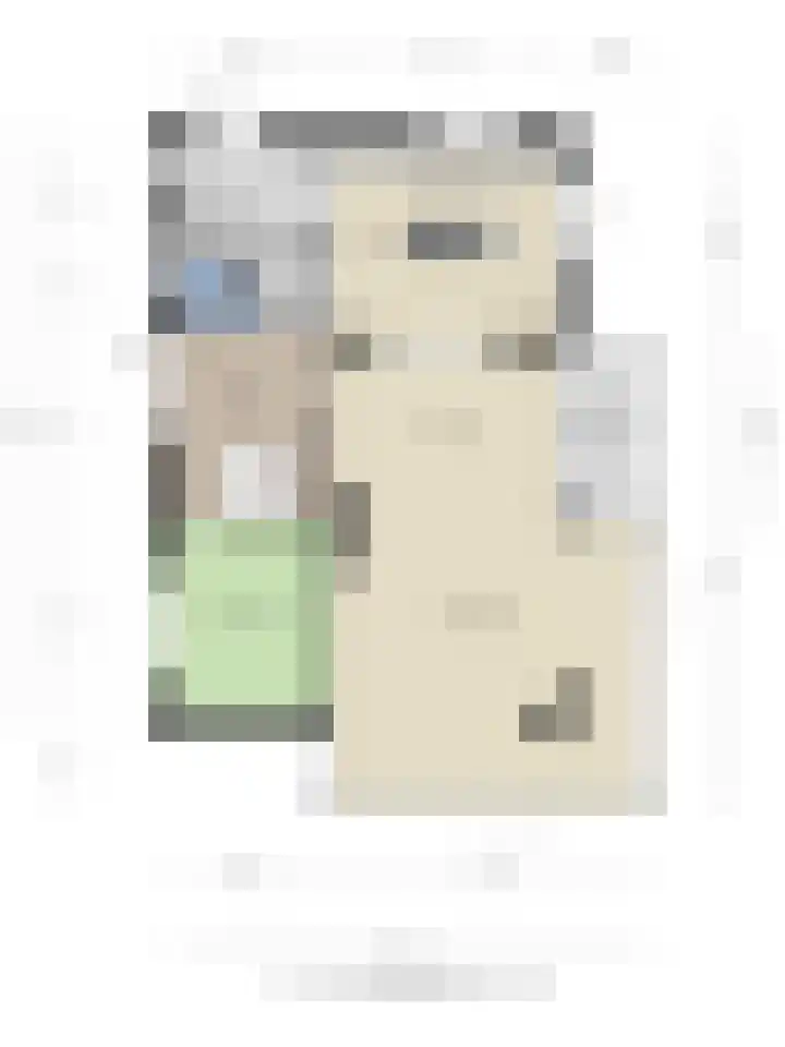 Aureus 42 Elst thumbnail 63