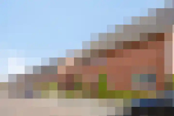 Aureus 42 Elst thumbnail 7
