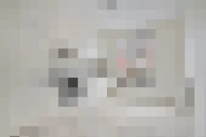 Aureus 46 Elst thumbnail 10