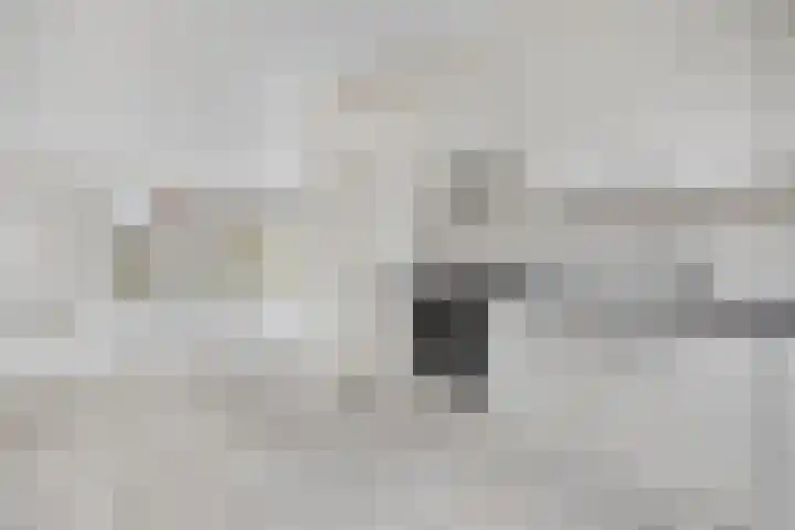 Aureus 46 Elst thumbnail 12