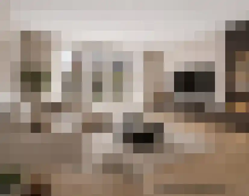 Aureus 46 Elst thumbnail 15