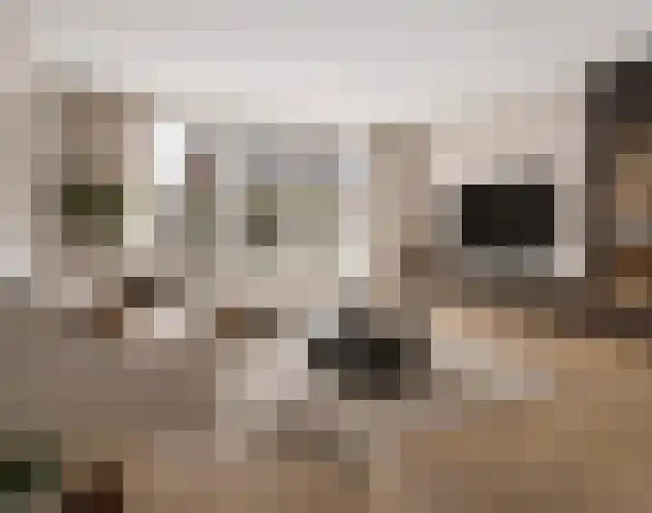 Aureus 46 Elst thumbnail 15