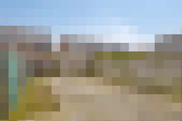 Aureus 46 Elst thumbnail 18