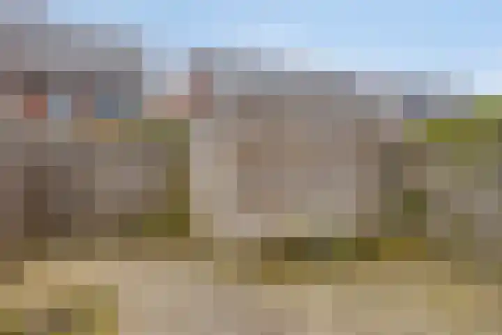 Aureus 46 Elst thumbnail 20