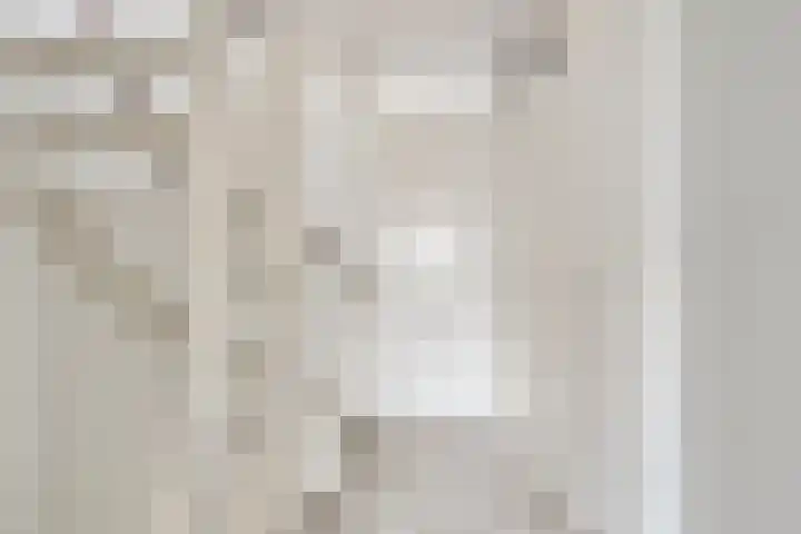 Aureus 46 Elst thumbnail 21