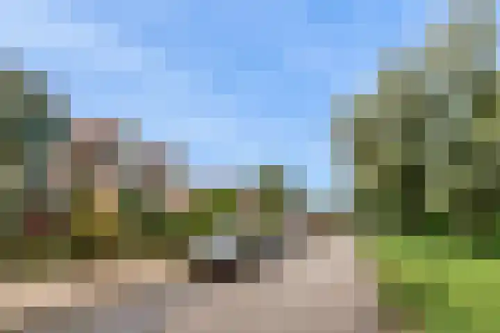 Aureus 46 Elst thumbnail 22