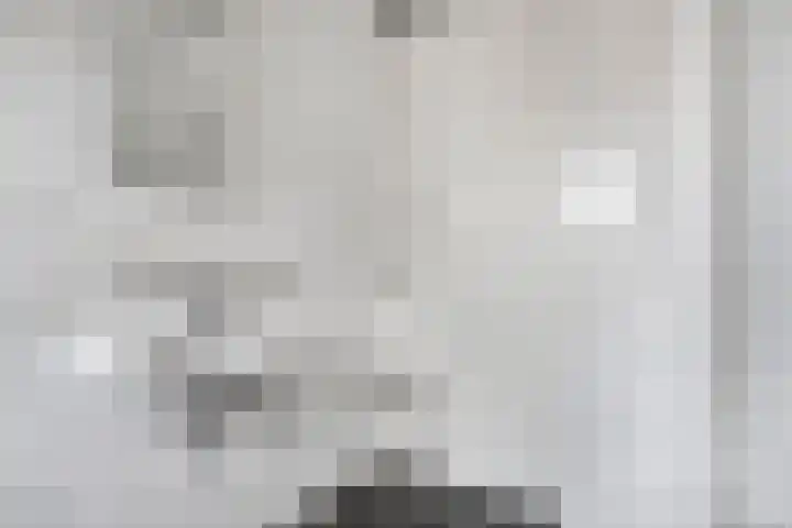 Aureus 46 Elst thumbnail 27