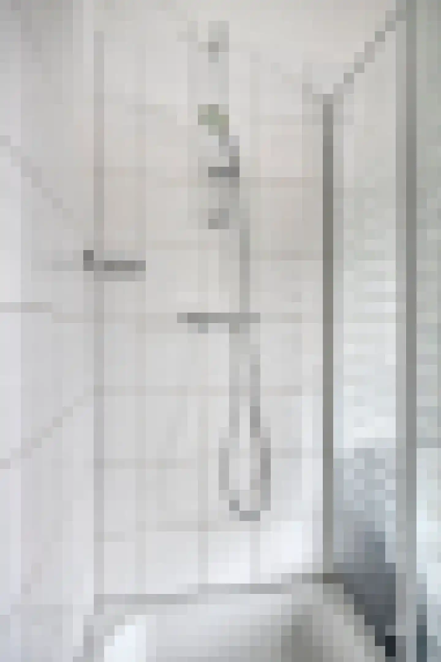 Aureus 46 Elst thumbnail 28
