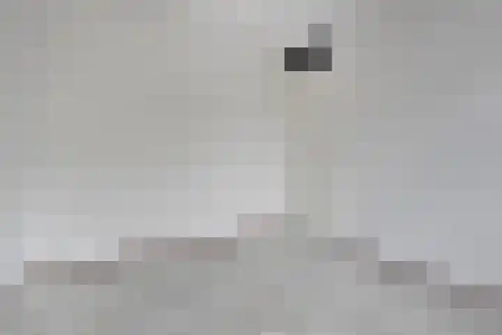 Aureus 46 Elst thumbnail 31