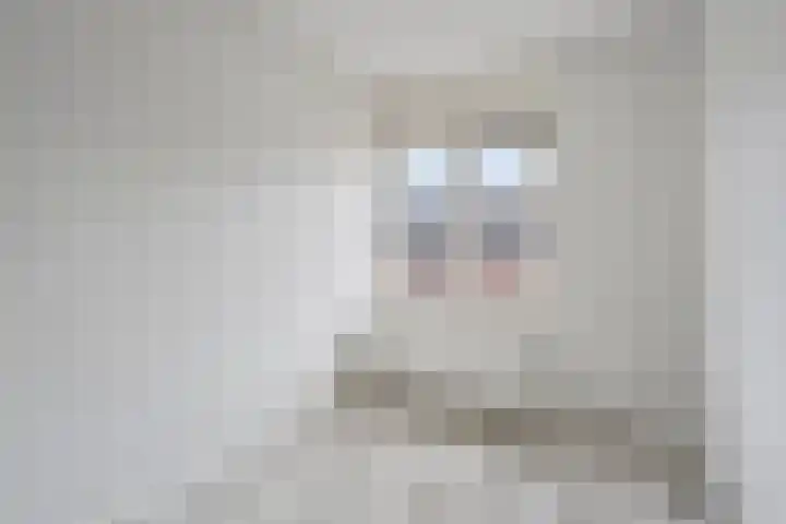 Aureus 46 Elst thumbnail 33