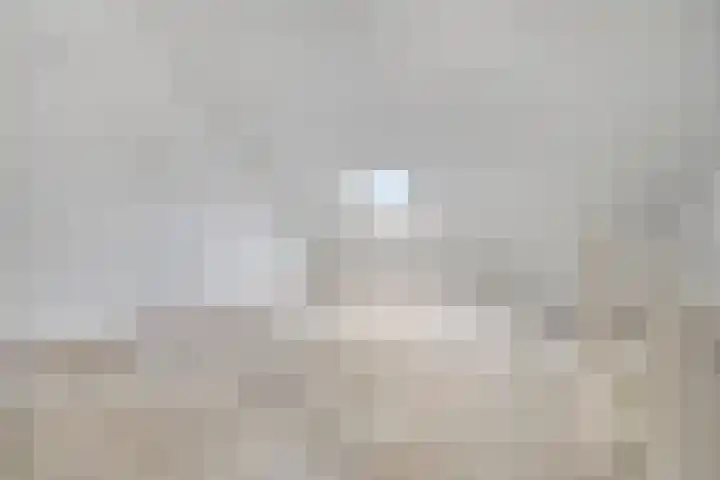 Aureus 46 Elst thumbnail 38