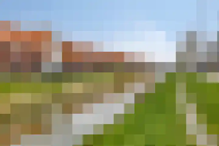 Aureus 46 Elst thumbnail 39