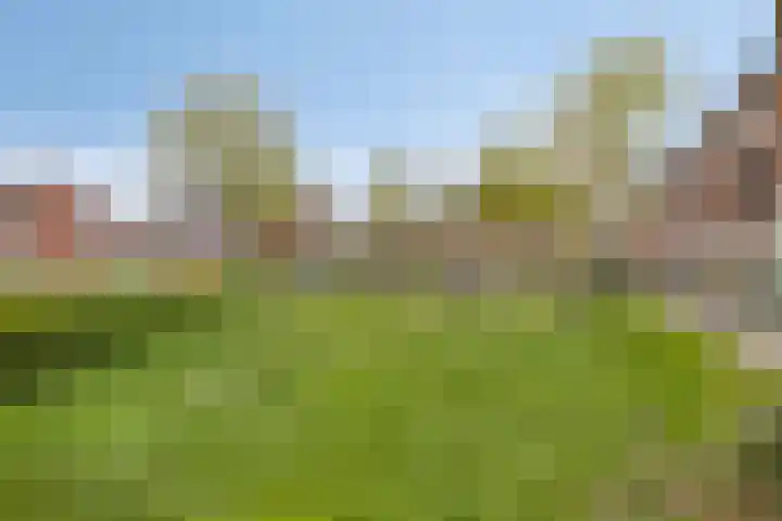 Aureus 46 Elst thumbnail 41