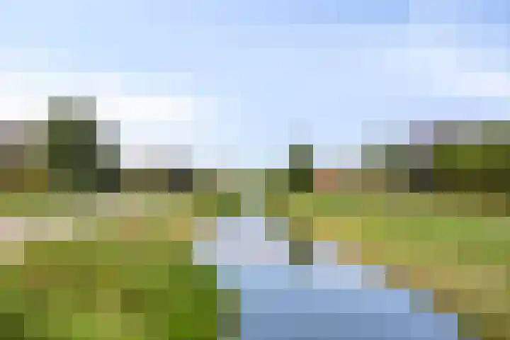 Aureus 46 Elst thumbnail 42