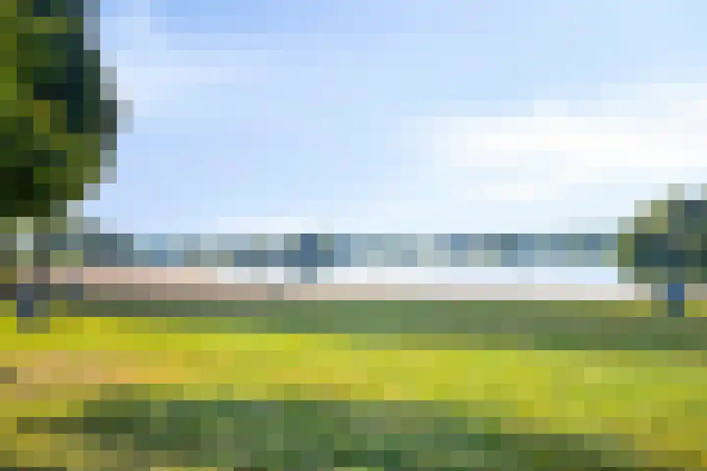Aureus 46 Elst thumbnail 43