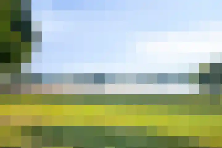 Aureus 46 Elst thumbnail 43