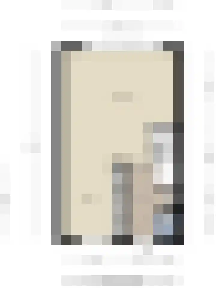 Aureus 46 Elst thumbnail 44