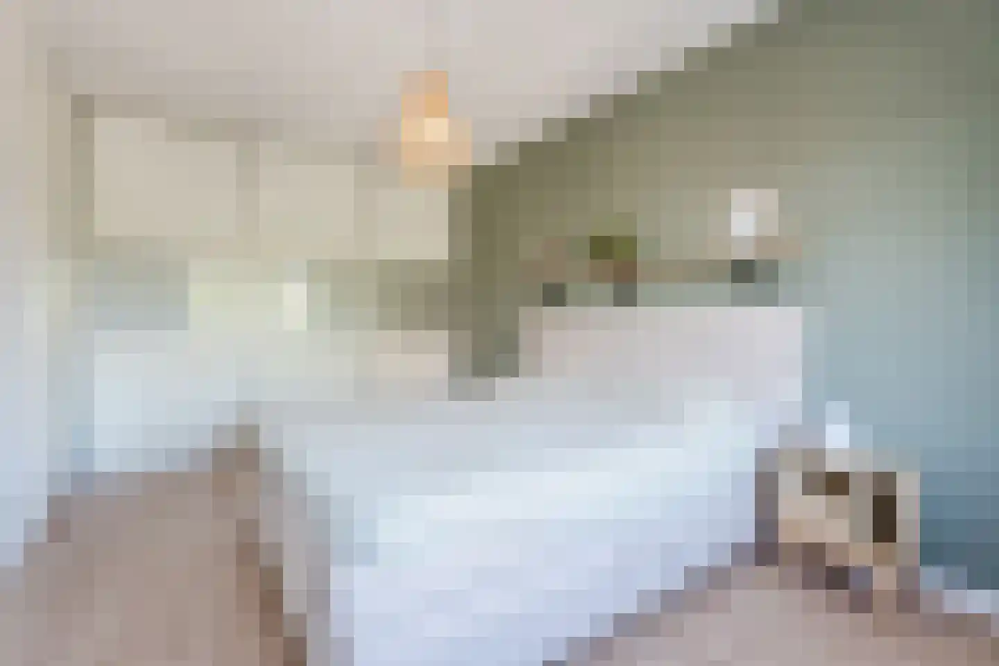Aureus 7 Elst thumbnail 14