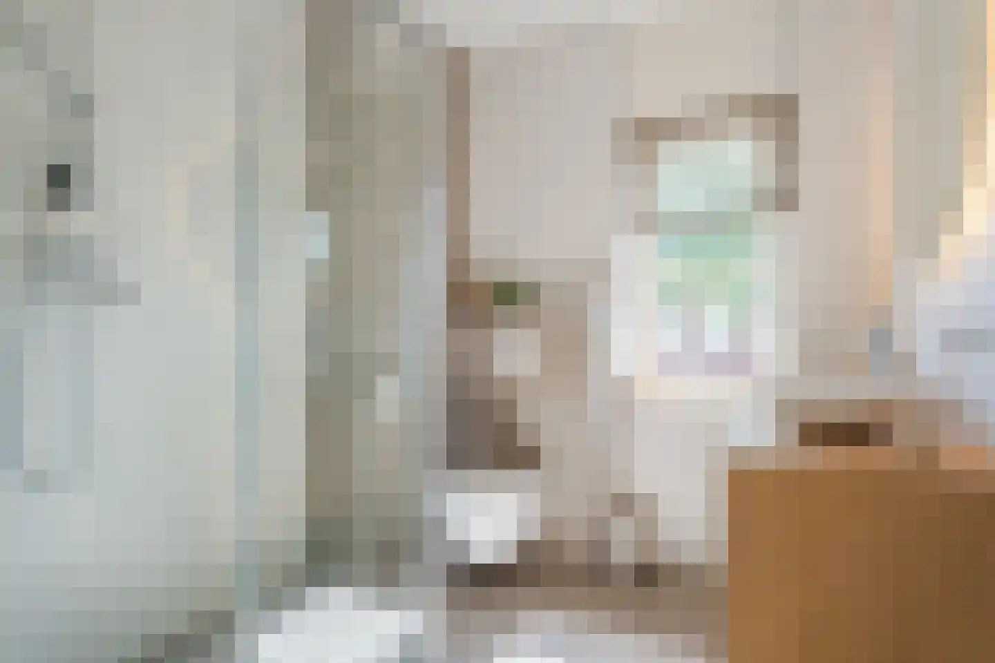Aureus 7 Elst thumbnail 19