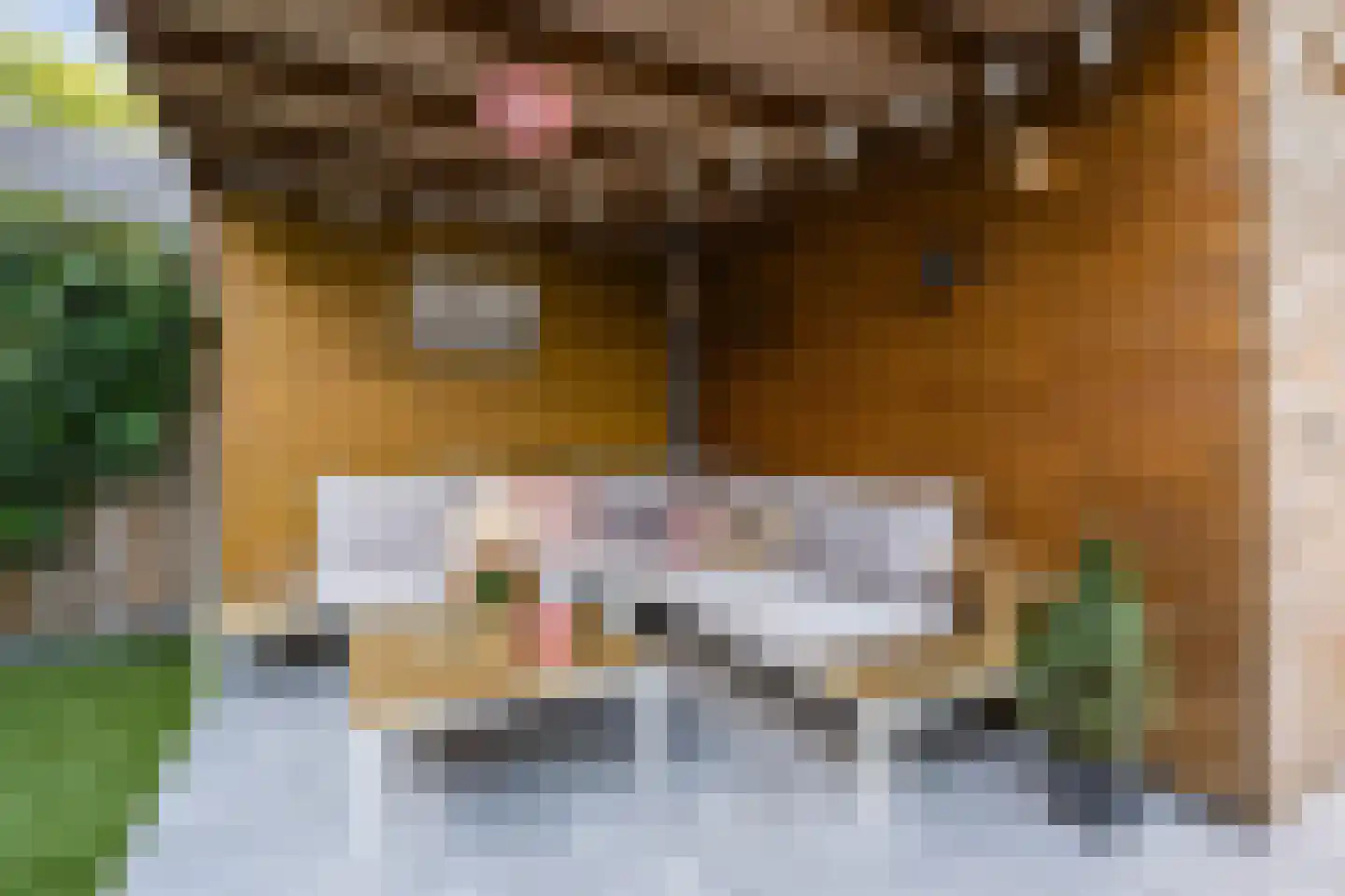 Aureus 7 Elst thumbnail 30