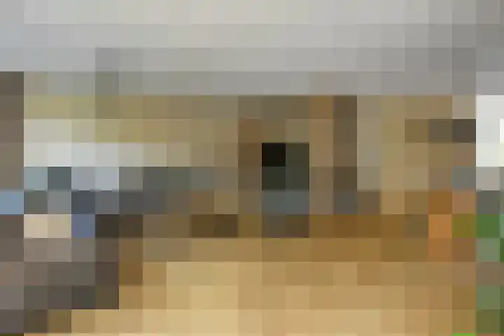 Aureus 80 Elst thumbnail 14