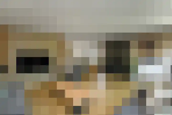 Aureus 80 Elst thumbnail 15