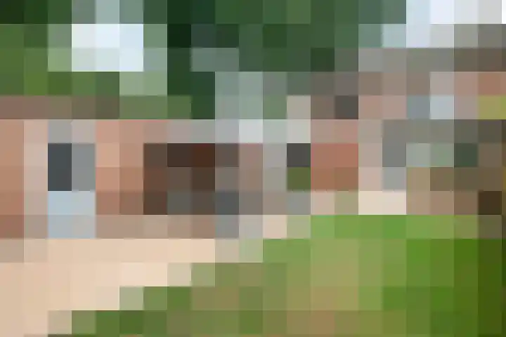 Aureus 80 Elst thumbnail 16