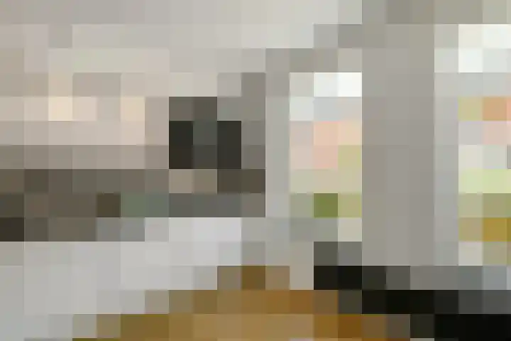 Aureus 80 Elst thumbnail 17