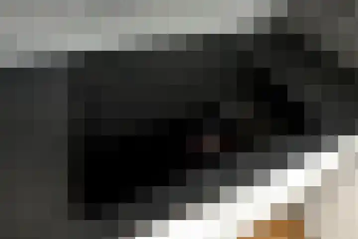 Aureus 80 Elst thumbnail 19